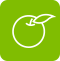 Grocer